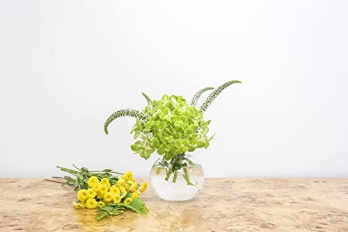 Vietri Hibiscus Clear Bud Vase 55 H