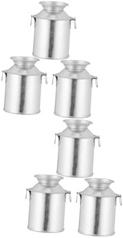 STOBAZA 2 Sets Retro Flower Bucket Iron Art Dried Flower Pot