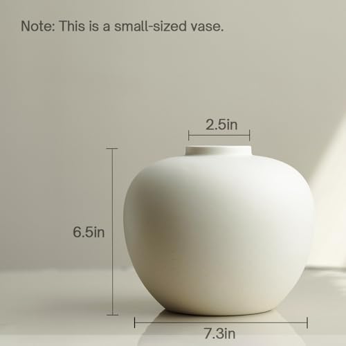 Full Moon Vase for Flowers and Hydroponics 65 x 72 Matte Crme
