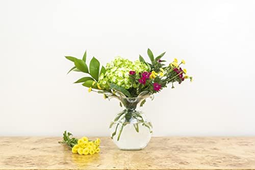 Vietri Hibiscus Clear Glass Fluted Vase 625D 7H