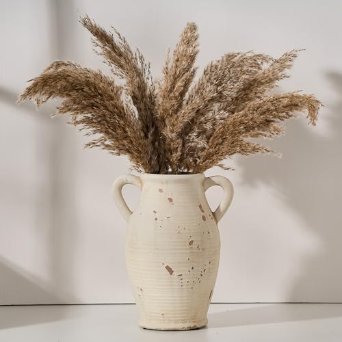 Large Ceramic Rustic Vase with 2 Handles 98 Inch