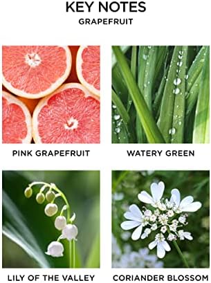 NEST New York Wall Diffuser Refill Vials Set of 2 Grapefruit