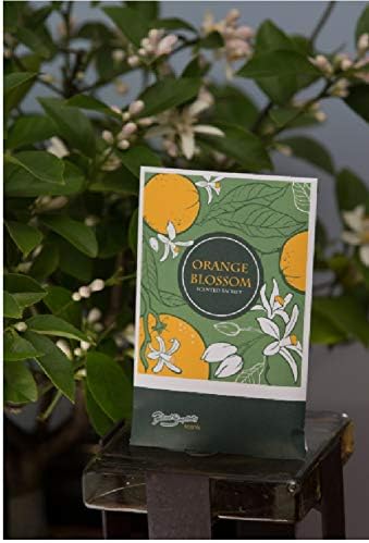 Orange Blossom Scented Sachets Pack of 3 - Home Fragrance