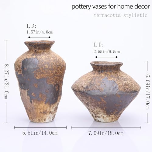 Rustic Terracotta Vase with Matte Finish