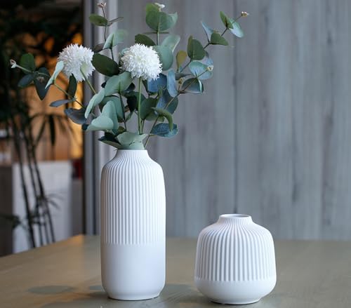 Matte White Stripe Ceramic Vases Set of 2 for Home Decor