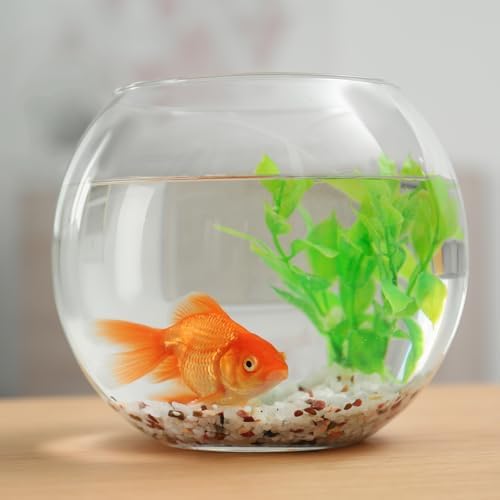 MECCANIXITY Brown Tumbled Stones for Aquarium Vase Decoration