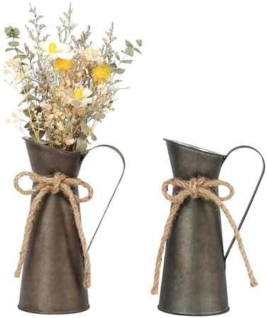 2 Pack Vintage Metal Milk Jug Vase Decor