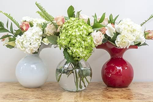 Vietri Hibiscus Clear Glass Fluted Vase 625D 7H