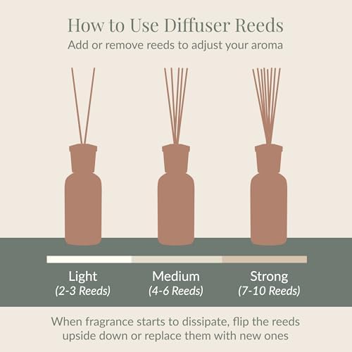Archipelago Botanicals Pineapple Ginger Diffuser Oil Refill 785 Fl Oz