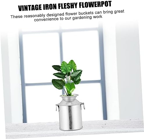 STOBAZA 2 Sets Retro Flower Bucket Iron Art Dried Flower Pot