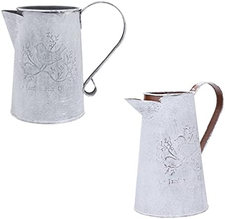 DOITOOL 2pcs Rustic Metal Vase Decor