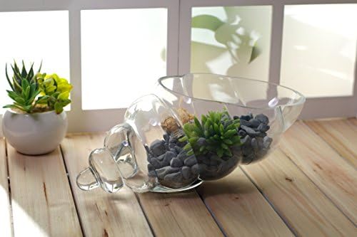 Hosley Clear Glass Shell Vase 8 Inches Long