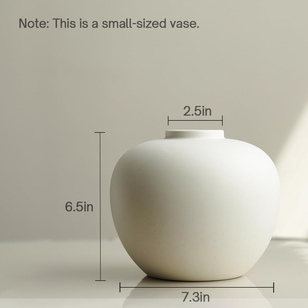 Full Moon Vase for Flowers and Hydroponics 65 x 72 Matte Crme