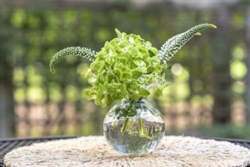 Vietri Hibiscus Clear Bud Vase 55 H