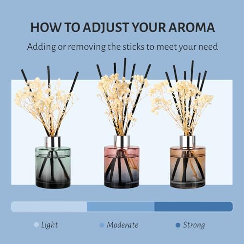 Brakula 3 Pack Reed Diffuser Set with 3 Scents