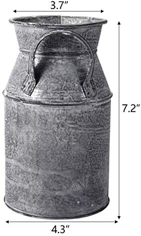 TOPZEA 2 Pack Galvanized Milk Can Vases