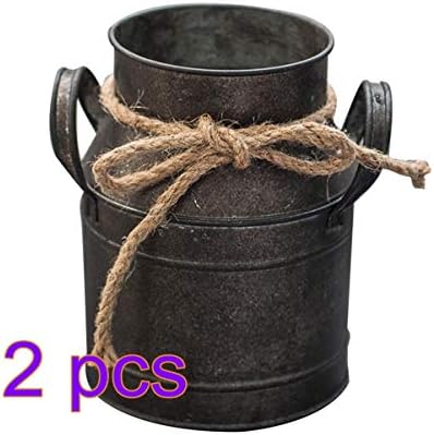 Hemoton 2 Pcs Shabby Chic Flower Vase Metal Pitcher Vase
