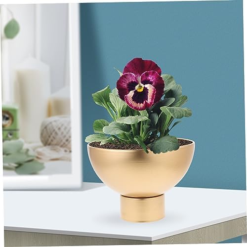 Cabilock Rustic Metal Vase for Flowers and Decor