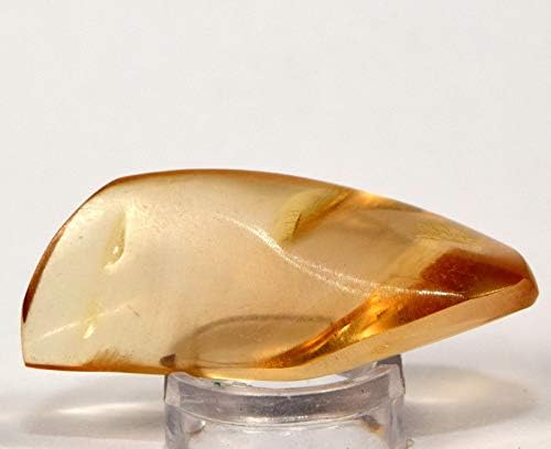 HQRP 34mm Copal Fossil Gemstone with Inclusions from Madagascar