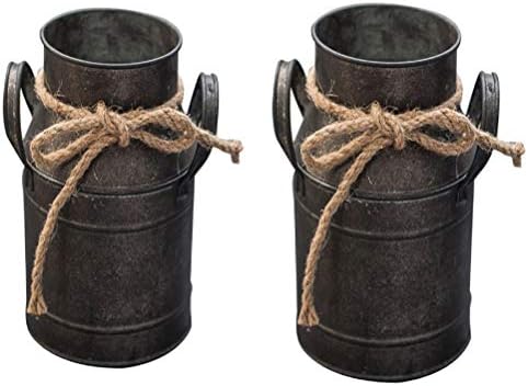 Hemoton 2 Pcs Shabby Chic Flower Vase Metal Pitcher Vase