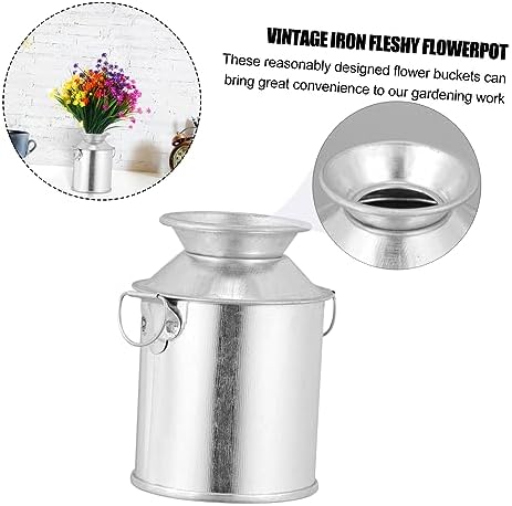STOBAZA 2 Sets Retro Flower Bucket Iron Art Dried Flower Pot