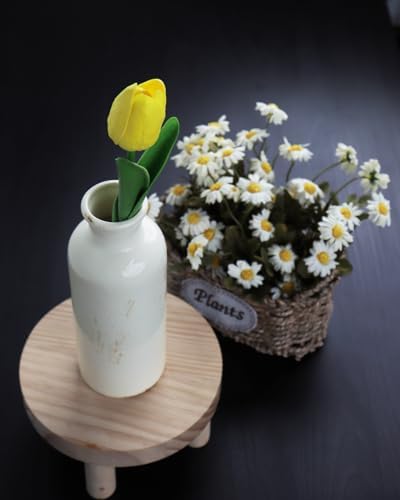 CheeryStow White Ceramic Vase Set of 3 - Crackle Glaze Farmhouse Decor