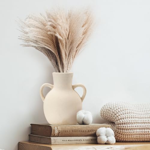 SIDUCAL Rustic Ceramic Farmhouse Flower Vase with 2 Handles 73 Inch