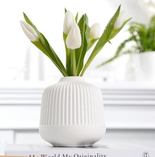 Matte White Stripe Ceramic Vases Set of 2 for Home Decor