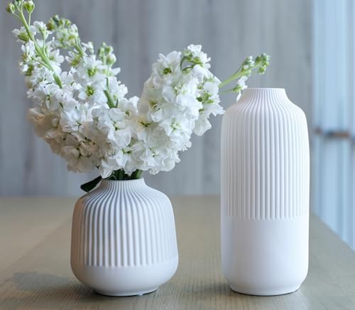 Matte White Stripe Ceramic Vases Set of 2 for Home Decor