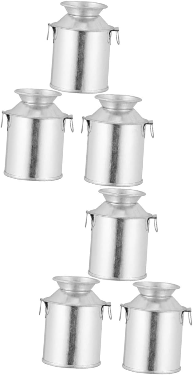 STOBAZA 2 Sets Retro Flower Bucket Iron Art Dried Flower Pot