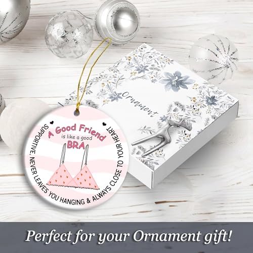 Friendship Ornament A Friend Like A Good Bra