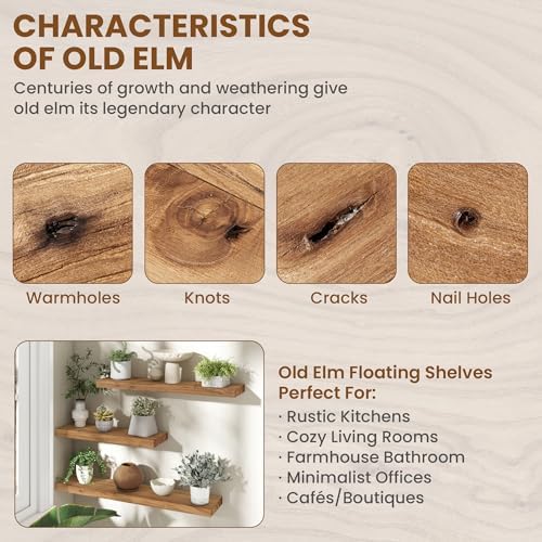 Fun Memories Wood Floating Shelves Wall Mounted Set of 2