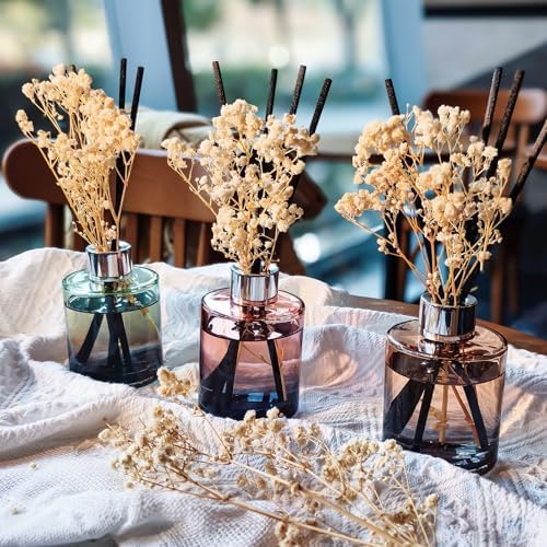 Brakula 3 Pack Reed Diffuser Set with 3 Scents