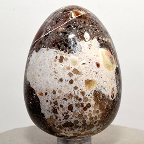 HQRP 60mm Multicolor Agate Egg with Stand