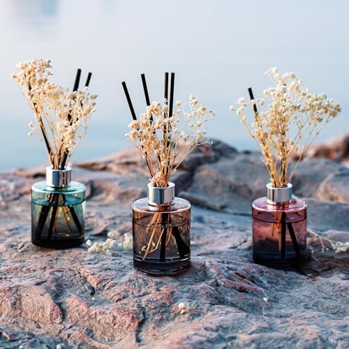 Brakula 3 Pack Reed Diffuser Set with 3 Scents