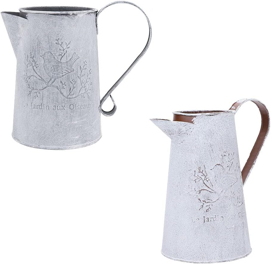 DOITOOL 2pcs Rustic Metal Vase Decor