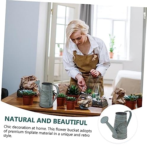 STOBAZA 1pc Antique Iron Flower Bucket Vintage Decor Vase