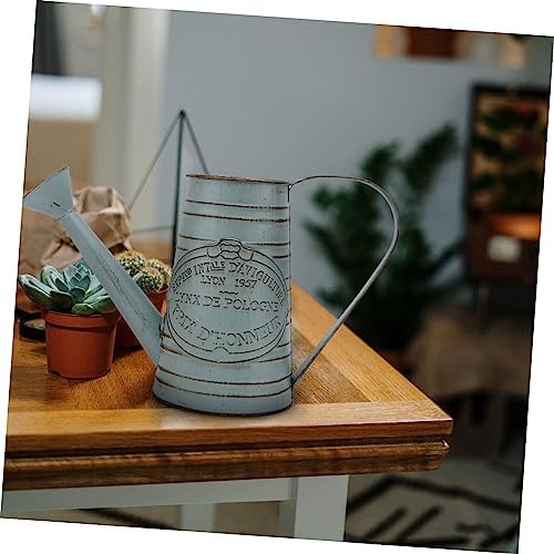 STOBAZA 1pc Antique Iron Flower Bucket Vintage Decor Vase