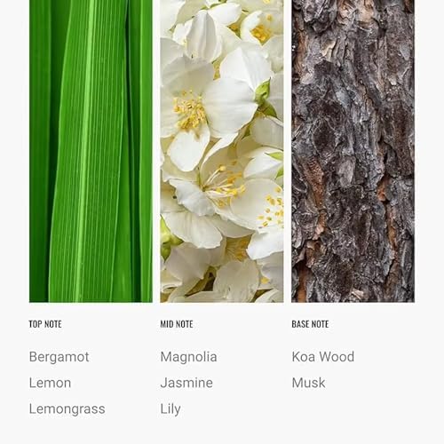 24K Magic Diffuser Oil 120mL Hotel Inspired Luxury Scent