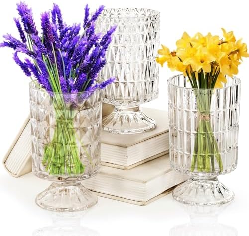 Goaste 3 Pack Embossed Glass Vases with Ribbed Patterns
