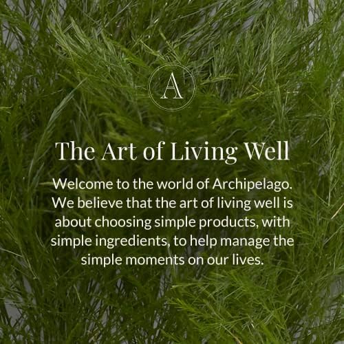 Archipelago Botanicals Pineapple Ginger Diffuser Oil Refill 785 Fl Oz