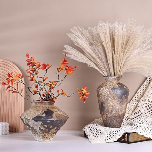 Rustic Terracotta Vase with Matte Finish