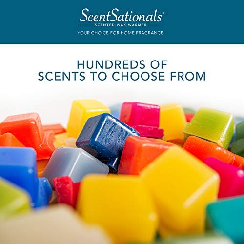 Scentsationals Lantern Wax Melt Warmer - Flame Free Safe Decorative