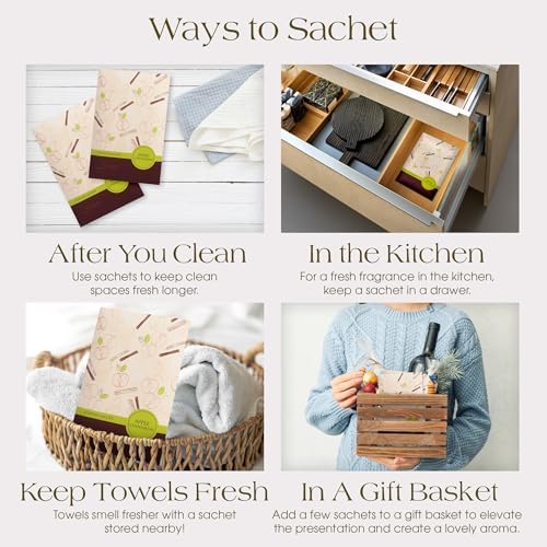 Simplicity Scents Apple Cinnamon Scented Sachets Pack of 3 Fall Winter