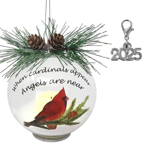 Memorial Lighted Cardinal Christmas Ornament 4D