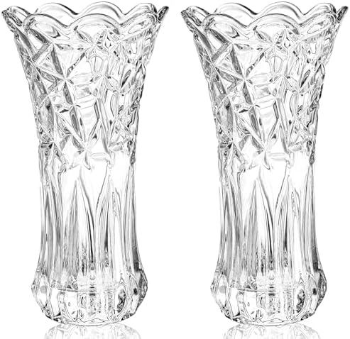 Dicunoy Set of 2 Crystal Flower Vases for Centerpieces