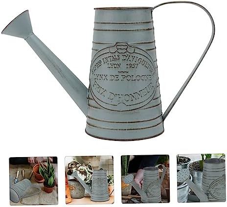 STOBAZA 1pc Antique Iron Flower Bucket Vintage Decor Vase