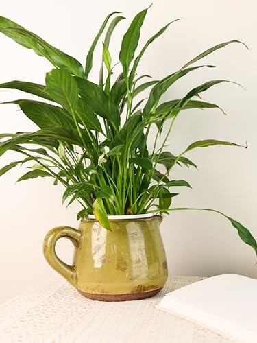 Ceramic Vase with Handle for Home Decor
