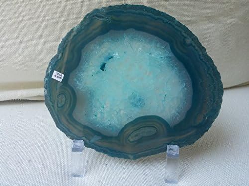 Brazilian Agate Geode Slice 6-7 Inch Green