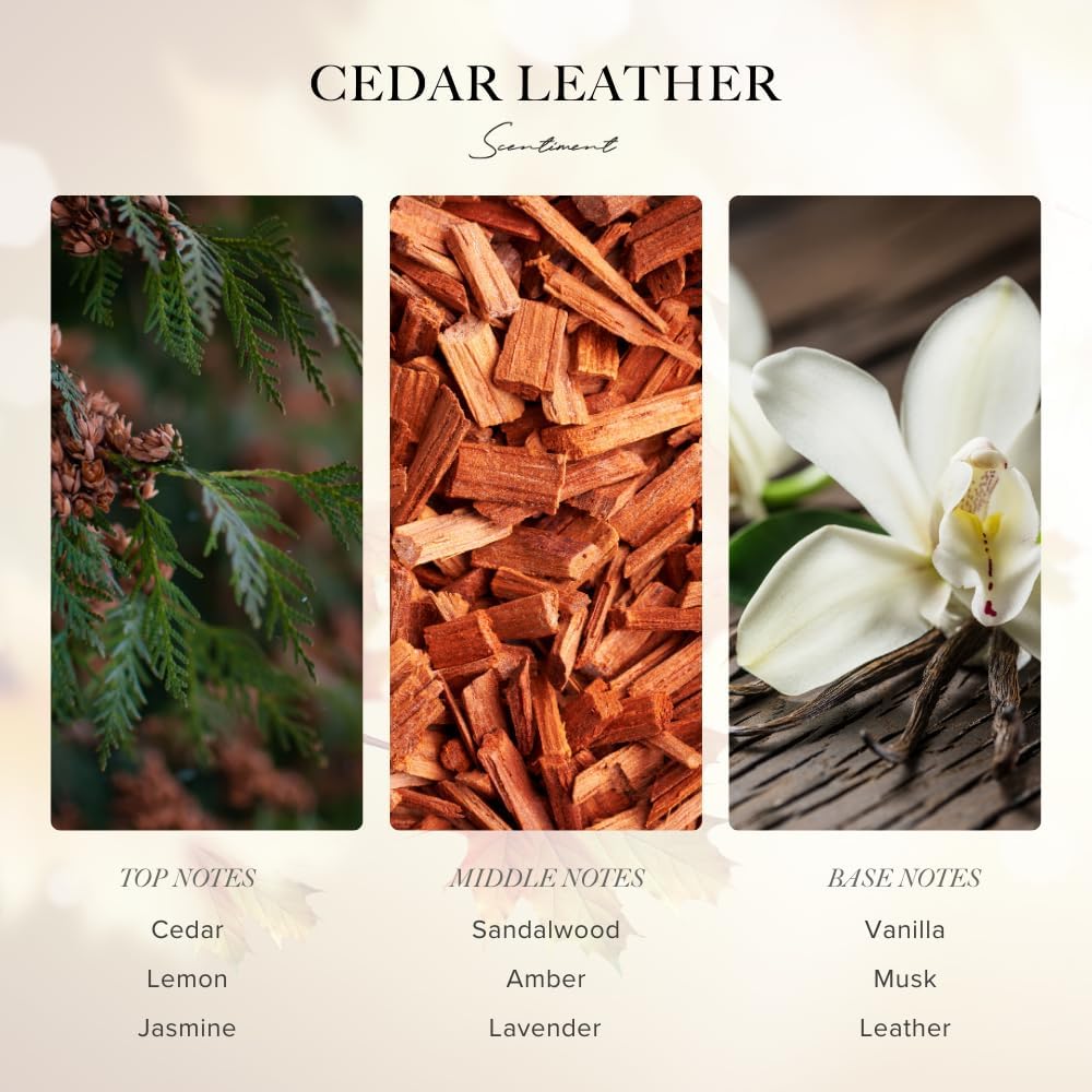 Cedar Leather Fall Diffuser Oil - 20ml Luxury Aromatherapy
